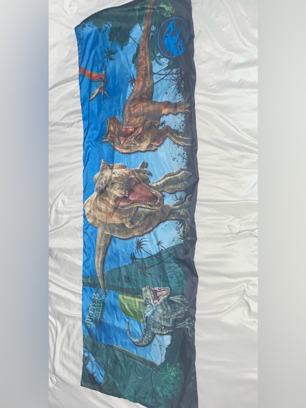 Blue Dinosaur Kids Swim Coverup with Graphic Dinosaurs